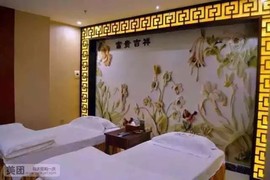 2017金鸡贺岁主播照片