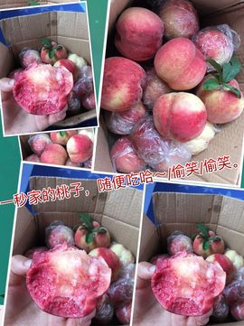 一秒钟の记忆主播照片