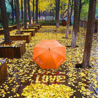 【追星赶月】的主播照片