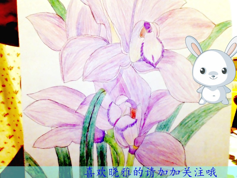 曉雅*y*的主播照片
