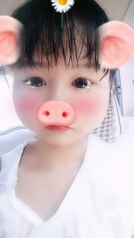 猫猫锚主播照片