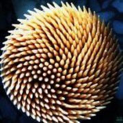 牙签伢签