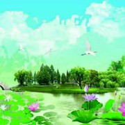 微信_92884的头像