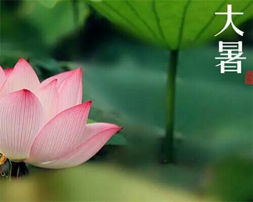 忆秋~珊珊来迟的主播照片