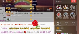 专属💘丫头主播照片