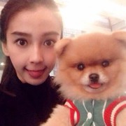 莫莫妞妞