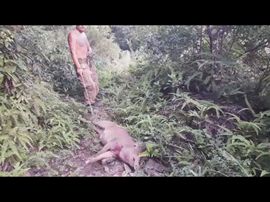 🚩风景🚩主播照片