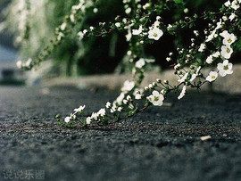 116954073主播照片