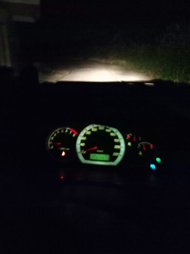 梦梦哥O的主播照片