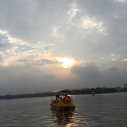 为了她丶
