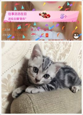 ぃ妖妖丶一个人坚持主播照片