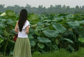 雨涛飞翔主播照片