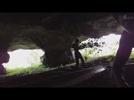 🚩风景🚩主播照片