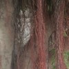 愉快得、玩耍