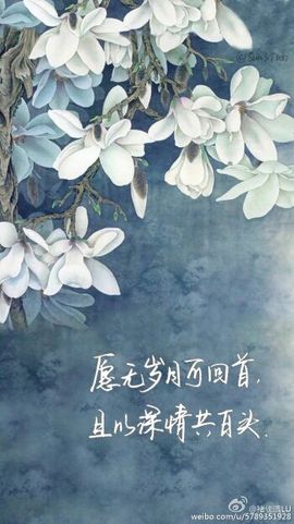 ✿千金♫2妞主播照片