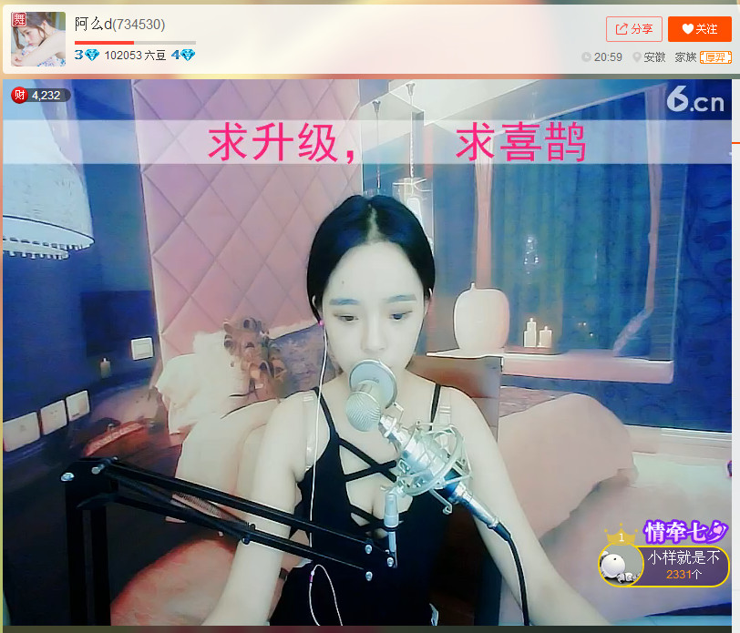 亲切家族的图片