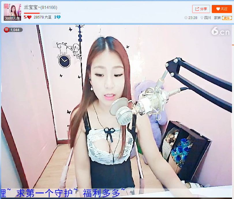 亲切家族的图片