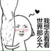 总有刁民想害朕7a6
