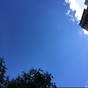 曲库《飞蛾扑火》海报