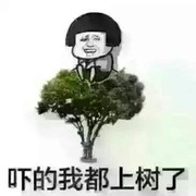 楼兰彡影