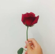 微信_1165738海报