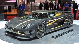 草原鹿城888主播照片