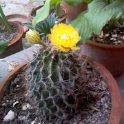 微信_9924784的主播照片