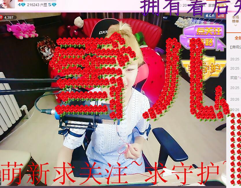 猫猫锚主播照片