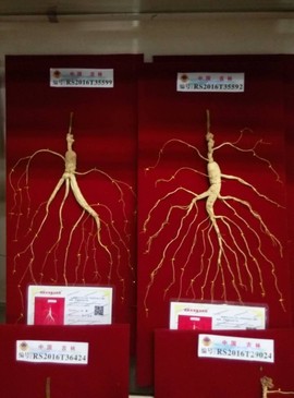 往事如烟飘飘就散主播照片