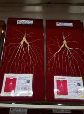 往事如烟飘飘就散主播照片
