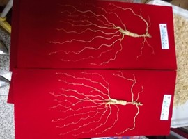 往事如烟飘飘就散主播照片