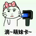 亲爱的霉霉