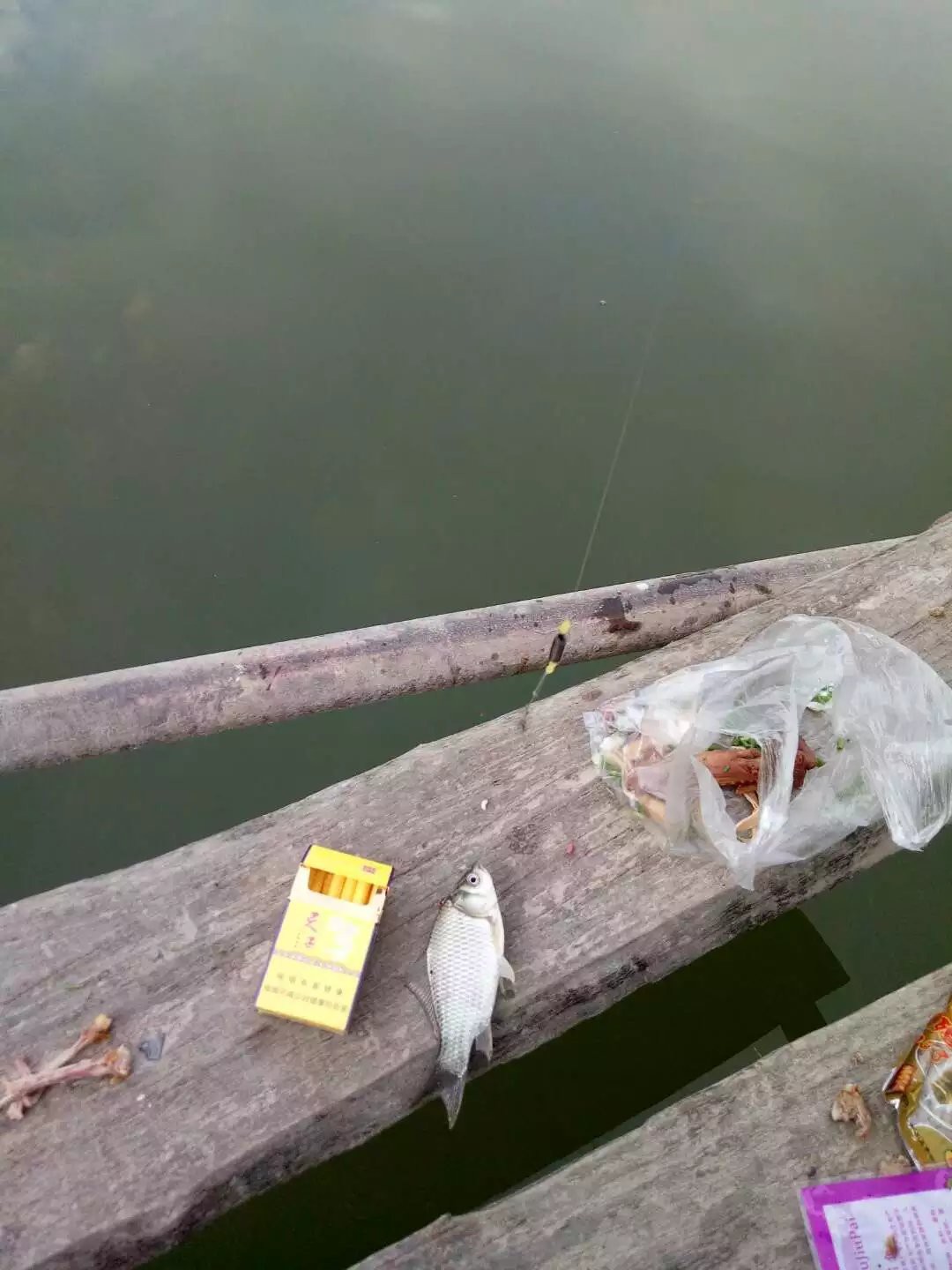 寻找白菜の猪的主播照片