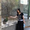 水云涧n海报