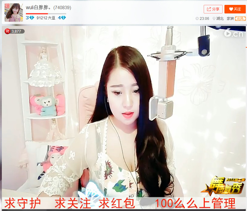 亲切家族的图片