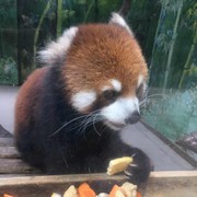 微信_2058507