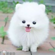 欧阳杰#海报