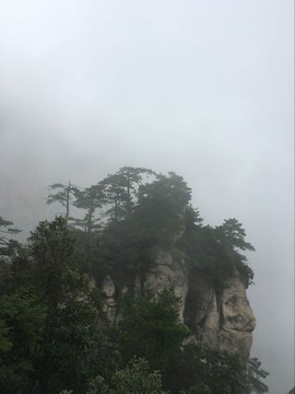 浅浅儿~主播照片