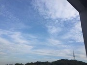 微信_2344327