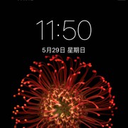 我亲爹.海报