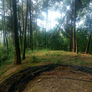 100030的主播照片