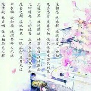 我家轩哥哥海报