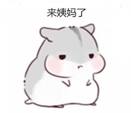 小小凡🎤（8点播）主播照片