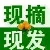 宠物批发海报