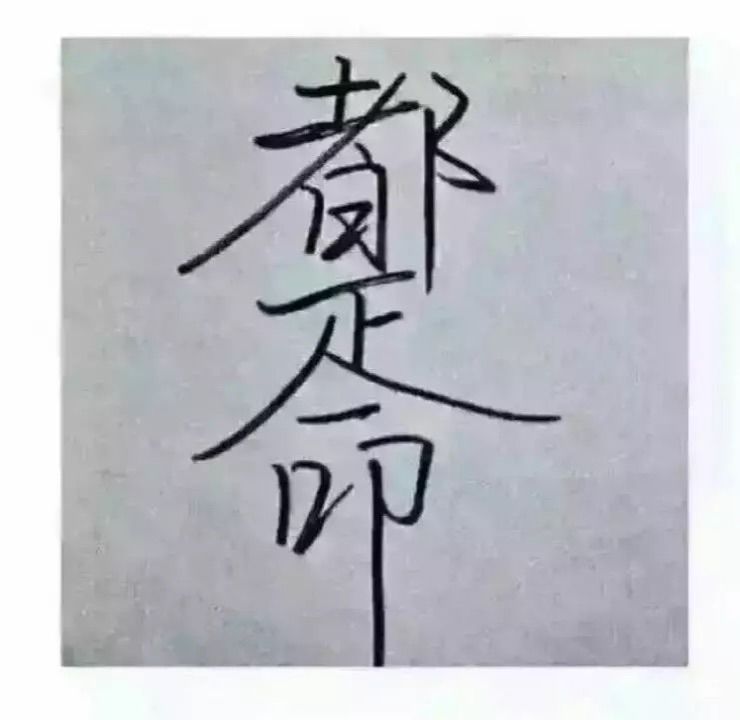 山东～小哥的主播照片