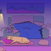 微信_3079040
