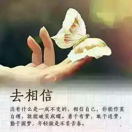 🌸缘分天注定🌸主播照片