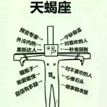 范少j海报