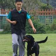 微信_3447425