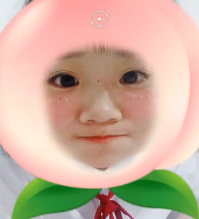 習慣有妮的图片